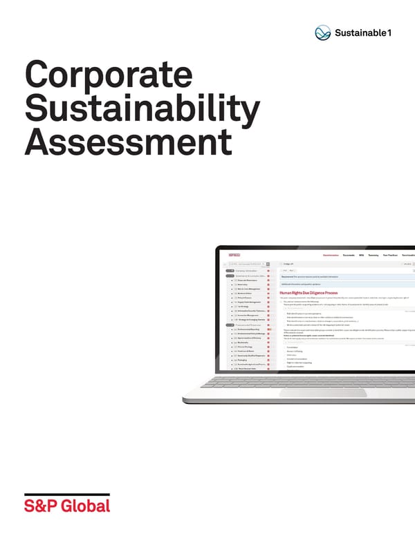 Corporate Sustainability Assessment - Page 1