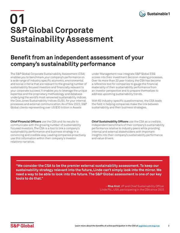 Corporate Sustainability Assessment - Page 2